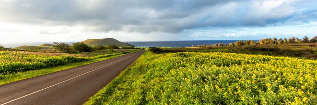 Winding Paved Road Through Rolling Green Hills Under a Blue Sky on Easter Island, Valparaiso, Chile. Banner Web, Copy Space