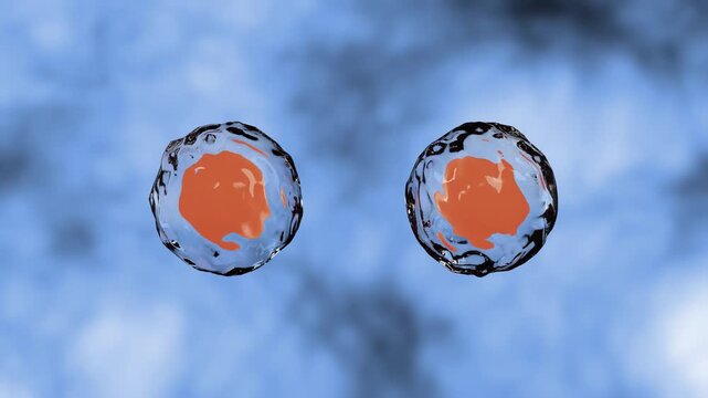 Realistic 3D render animation showing microscopic cell division process with orange nucleus for medical science research stock video