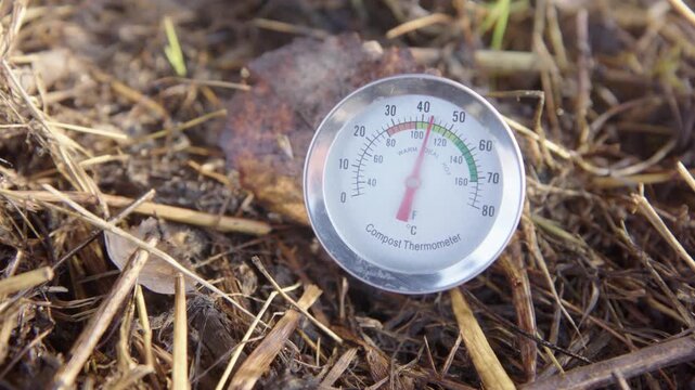 Metal compost thermometer measuring temperature in garden waste pile during decomposition process.