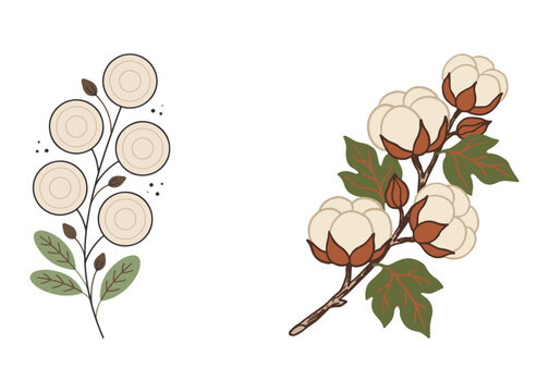 Boho Botanical Leaves & Foliage Cliparts Graphic