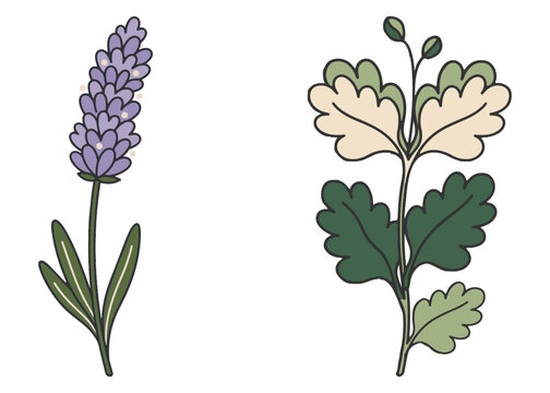 Boho Botanical Leaves & Foliage Cliparts Graphic