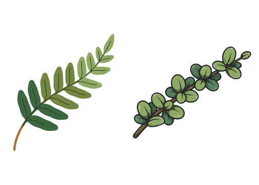 Boho Botanical Leaves & Foliage Cliparts Graphic