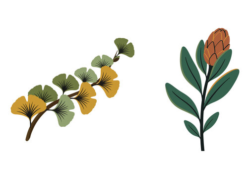 Boho Botanical Leaves & Foliage Cliparts Graphic