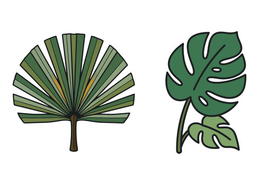 Boho Botanical Leaves & Foliage Cliparts Graphic