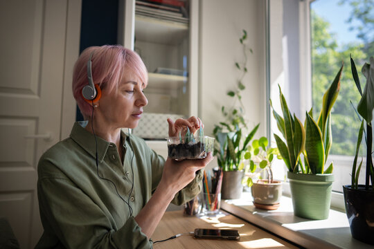 Pink haired woman gently touches zamioculcas cuttings while wearing headphones near sunny window, checking growth during indoor gardening, sustainable propagation and mindful home plant care routine.