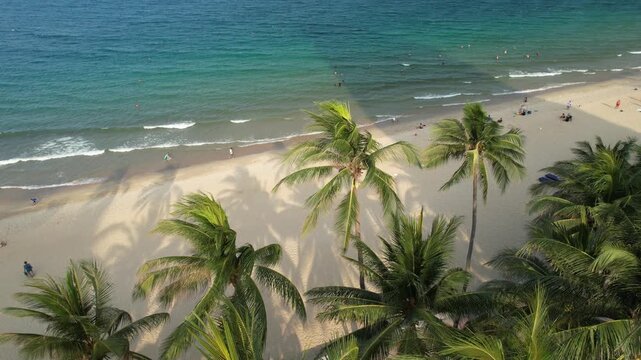 Palm Tree Beach Natural Scenery in Nha Trang, Vietnam