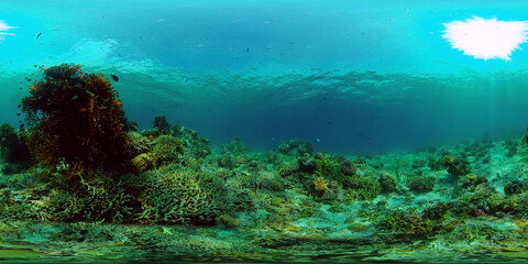 Coral reef and tropical fishes. Coral Reef and Fishes Underwater. The underwater world of the Philippines. 360 panorama VR © Alex Traveler