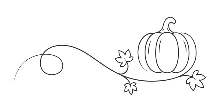 Continuous single line drawing of a pumpkin with leaves