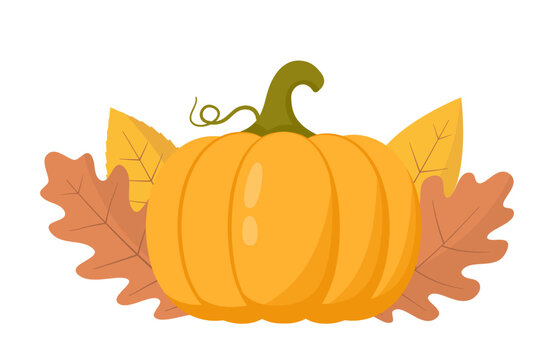 Orange pumpkin with a curling vine stem surrounded by oak leaves and simple foliage, ideal for seasonal and harvest-themed designs