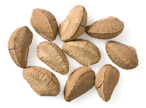 In-sell Brazil nut isolated on the white background, top view.
