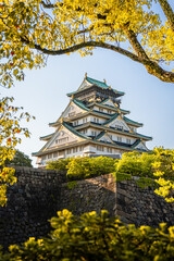 Obraz premium Osaka Castle rising above its massive stone rampart and bright spring foliage, Japan