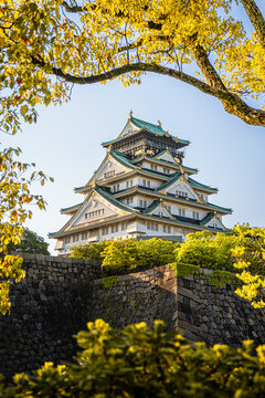 Osaka Castle rising above its massive stone rampart and bright spring foliage, Japan