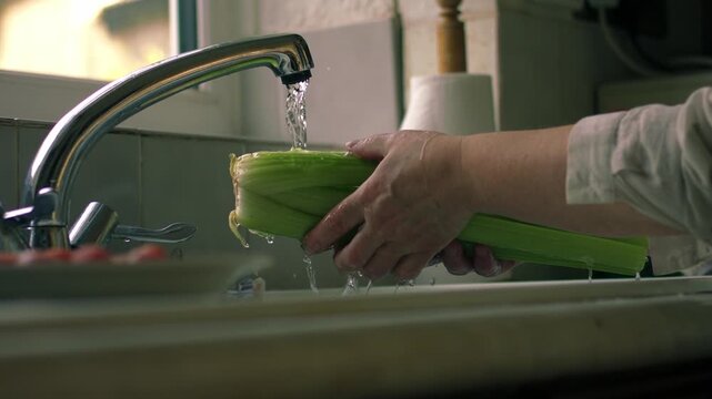 Woman washing celery in kitchen sink medium 4k slow motion shot selective focus