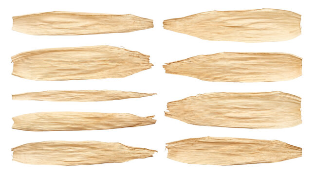 Natural dried corn husk leaf strips set for tamales wrapping and craft