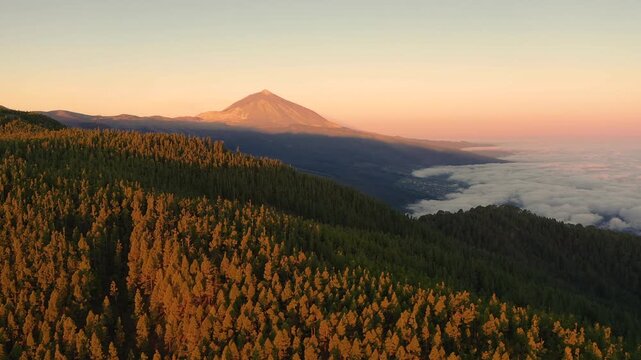 Aerial view of Mount Teide at sunset with pine forests and a sea of clouds in Santa Cruz de Tenerife, Canary Islands, Spain.