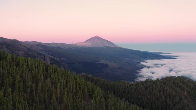 Aerial view of Mount Teide rising above a sea of clouds with pine forests in the foreground at sunset in Santa Cruz de Tenerife, Canary Islands, Spain.