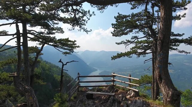 Aerial view of Banjska Stena viewpoint overlooking the Drina River canyon with pine trees and rocky terrain in Rastiste, Zlatiborski okrug, Serbia.