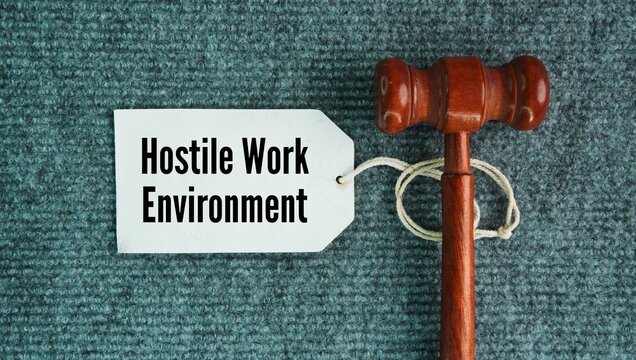 Hammer the judge and tag the paper with the words Hostile Work Environment. occurs when unwelcome, severe, or pervasive conduct based on protected characteristics makes a workplace intimidating