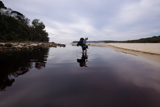 A hiker crosses a knee deep cold, still, looking stream near the beach