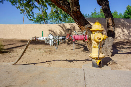 Yellow fire hydrant connected to a temporary water pipe line assembly with a water meter and hose outdoors on a sunny day