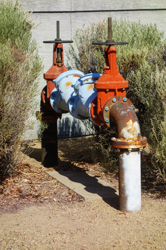 Industrial water backflow preventer assembly painted in red and blue colors with two large shutoff gate valves situated between green bushes outdoors.