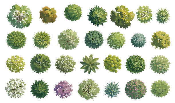 Top view tree symbols for landscape design, collection of 28 architectural vegetation icons, green garden plant plan elements