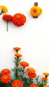 Vibrant Mexican marigold altars adorn a white background, flowers, ritualistic