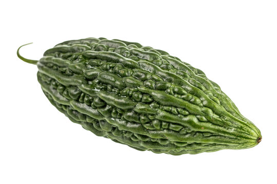 Single fresh bitter melon with bumpy green skin and pointed tip isolated on a transparent background