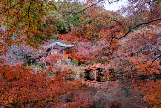 Daigo-ji Temple, Historic Buddhist Landmark and Popular Tourist Attraction in Kyoto, Japan