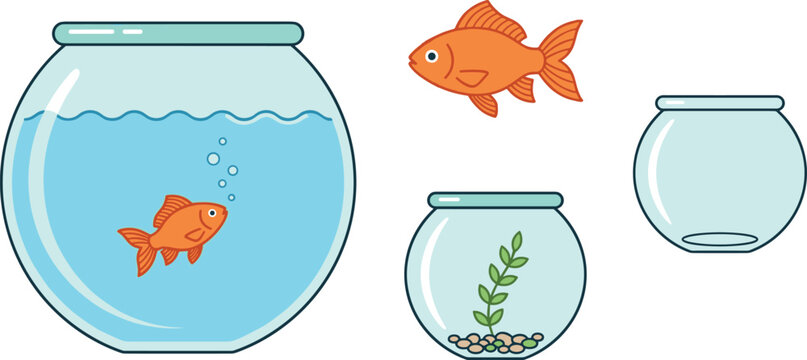Vector illustration set of cute goldfish in glass bowl aquarium with water seaweed and bubbles