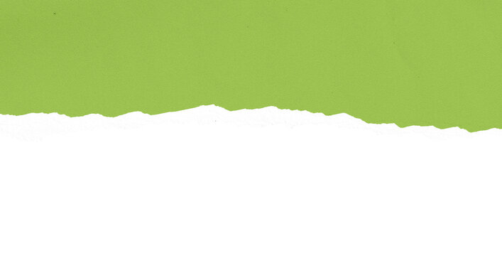 Green Torn Paper Edge