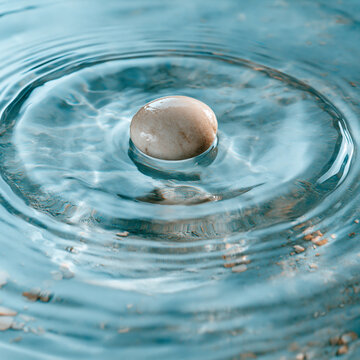 Macro abstract ripple pattern in pale blue water surrounding a single smooth stone, zen composition, realistic reflections, minimalist wellness concept, extensive negative space, premium stock