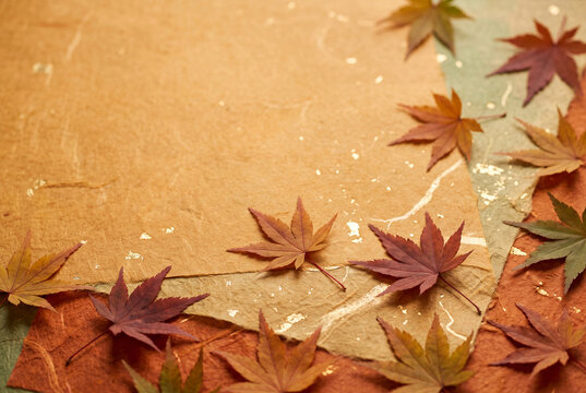 秋　もみじ　紅葉　紙