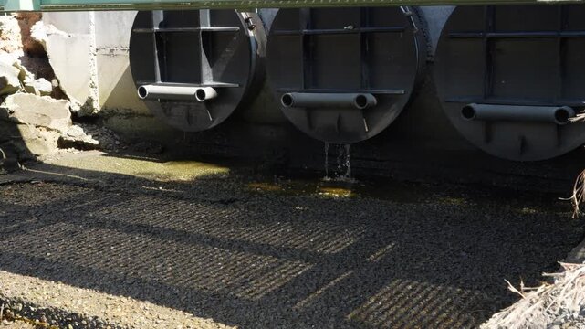 Circular tidal floodgates dripping water beneath a coastal road bridge, flood control and stormwater drainage infrastructure