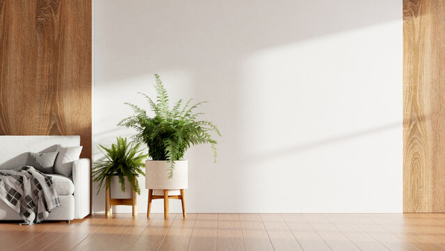 Blank white wall mockup interior with cozy sofa and potted plants for product display- 3D rendering