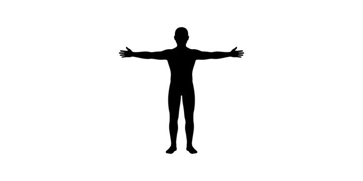 Human body silhouette in t-pose for medical and fitness illustrations.