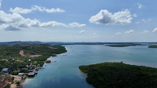 Coastal Landscape with Mangrove Forests and Blue Waters