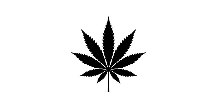 Cannabis leaf silhouette graphic black foliage icon for herbal branding.