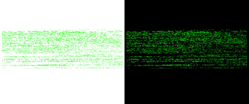 Green matrix digital rain code, abstract computer data stream on black and white backgrounds, cybersecurity concept