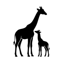 Fototapeta premium Black Silhouette of Giraffe Mother and Baby