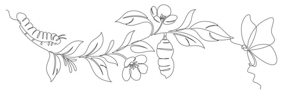 A continuous line of butterflies and pupae on the leaves of a flowering branch.eps