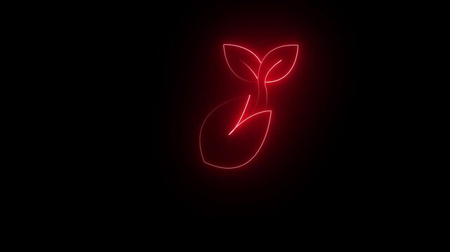 glowing red neon sprout icon isolated on black background.  symbolizing growth and new beginnings. 4k video animation ,,,,