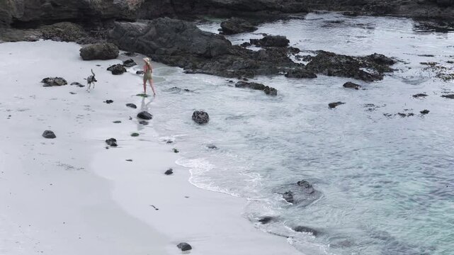 woman with her dog on beach