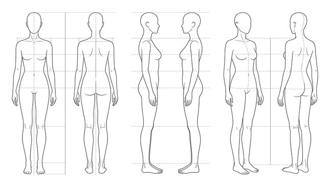 Comprehensive illustration displaying front and side views of a human female body with detailed anatomical proportions and