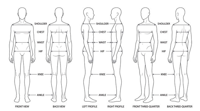 Comprehensive anatomical diagram illustrating front, back, left, right profiles and three-quarter views of the human body with