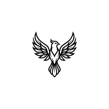 Elegant phoenix bird vector illustration with sharp wings and feathers