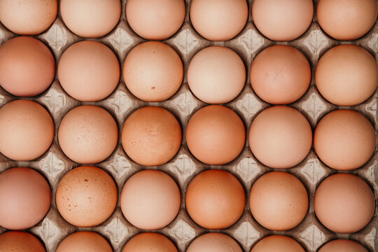 Close-up of a carton filled with brown eggs neatly arranged in a tray