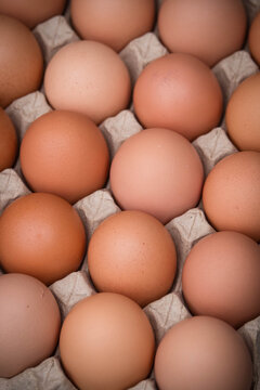 Close-up of a carton filled with brown eggs neatly arranged in a tray