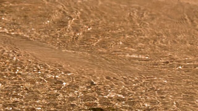Golden Sunlight Rippling Over Shallow Creek Water and Sand