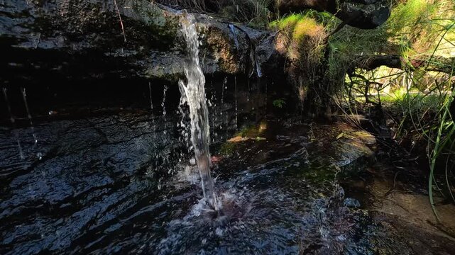 Small Waterfall Cascading Over Mossy Rocks in Blue Mountains National Park